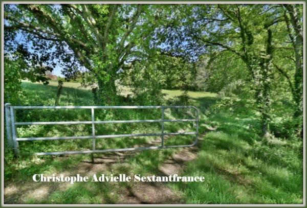 10 Ha de terres en priaires et bois avec bâtiment agricole de 200 M2, changement de destination possible