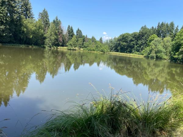 Un étang de plus de 2 hectares, une maison simple et vraie, au cœur de 10 hectares de nature préservée SAINT LEONARD DE NOBLAT (87)