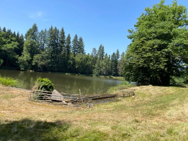 Un étang de plus de 2 hectares, une maison simple et vraie, au cœur de 10 hectares de nature préservée SAINT LEONARD DE NOBLAT (87)