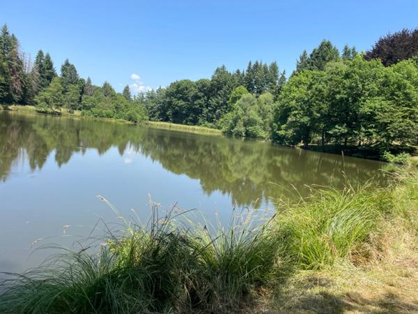 Un étang de plus de 2 hectares, une maison simple et vraie, au cœur de 10 hectares de nature préservée SAINT LEONARD DE NOBLAT (87)