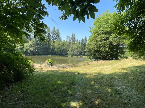 Un étang de plus de 2 hectares, une maison simple et vraie, au cœur de 10 hectares de nature préservée SAINT LEONARD DE NOBLAT (87)