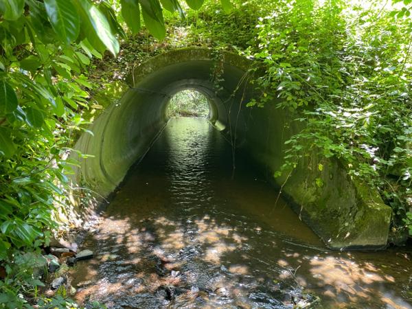 Un étang de plus de 2 hectares, une maison simple et vraie, au cœur de 10 hectares de nature préservée SAINT LEONARD DE NOBLAT (87)