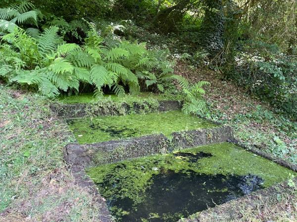 Un étang de plus de 2 hectares, une maison simple et vraie, au cœur de 10 hectares de nature préservée SAINT LEONARD DE NOBLAT (87)