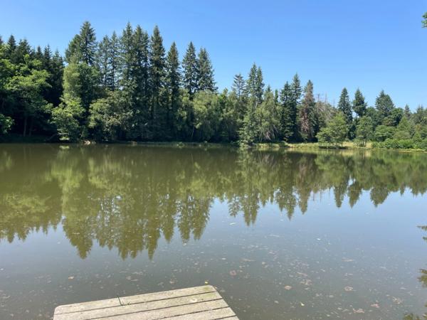 Un étang de plus de 2 hectares, une maison simple et vraie, au cœur de 10 hectares de nature préservée SAINT LEONARD DE NOBLAT (87)