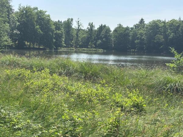 Un étang de plus de 2 hectares, une maison simple et vraie, au cœur de 10 hectares de nature préservée SAINT LEONARD DE NOBLAT (87)
