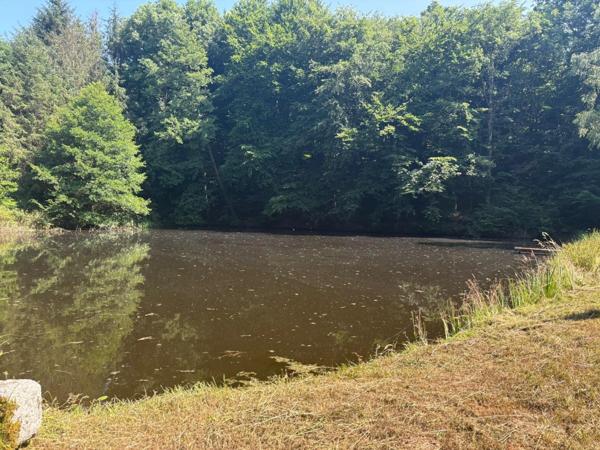 Un étang de plus de 2 hectares, une maison simple et vraie, au cœur de 10 hectares de nature préservée SAINT LEONARD DE NOBLAT (87)
