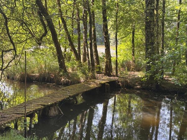 Un étang de plus de 2 hectares, une maison simple et vraie, au cœur de 10 hectares de nature préservée SAINT LEONARD DE NOBLAT (87)