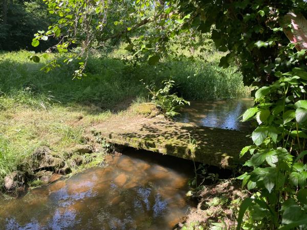 Un étang de plus de 2 hectares, une maison simple et vraie, au cœur de 10 hectares de nature préservée SAINT LEONARD DE NOBLAT (87)