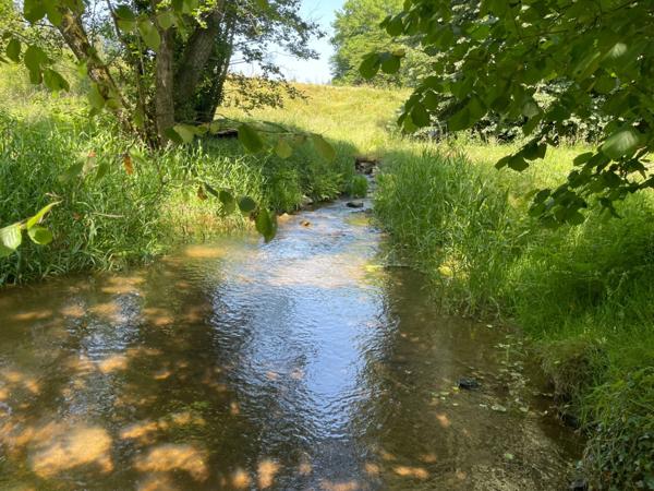 Un étang de plus de 2 hectares, une maison simple et vraie, au cœur de 10 hectares de nature préservée SAINT LEONARD DE NOBLAT (87)