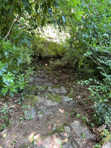 Un étang de plus de 2 hectares, une maison simple et vraie, au cœur de 10 hectares de nature préservée SAINT LEONARD DE NOBLAT (87)