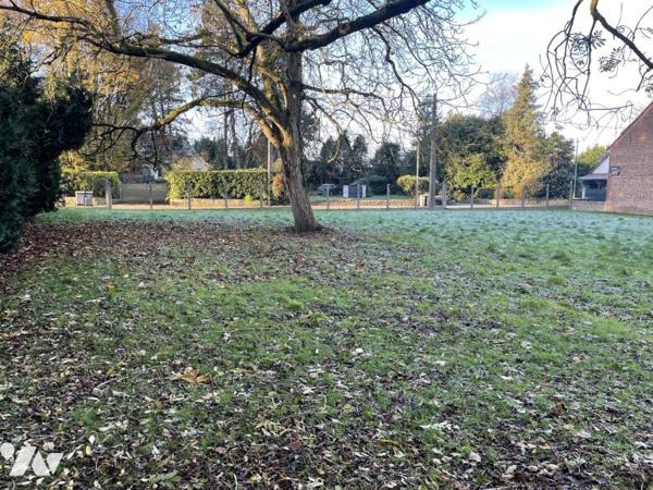 Terrain constructible