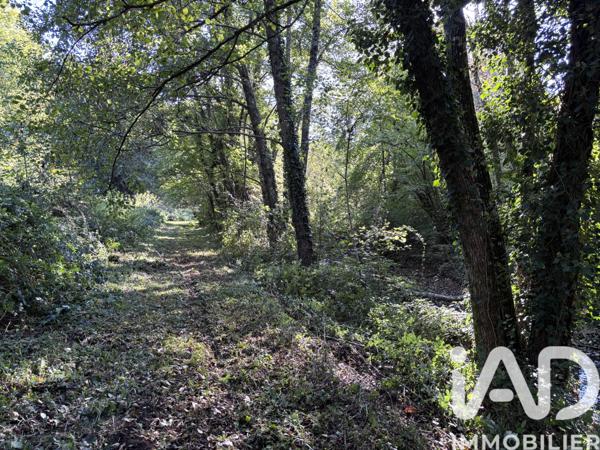 Maison à vendre 15 pièces 384 m² Gençay