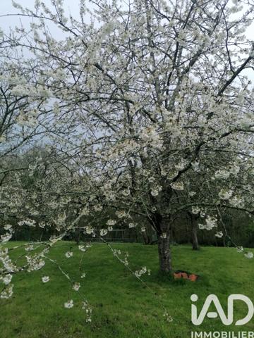 Maison à vendre 15 pièces 384 m² Gençay