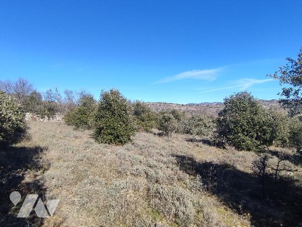 Terrain constructible et divisible de 5000 m²