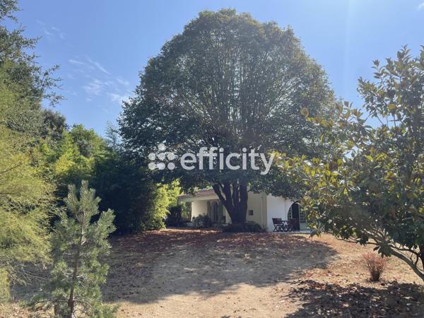 Maison 4 pièces - 162 m²