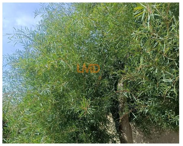 Saint-Brévin-les-Pins – Entre centre-ville et rivage à pied