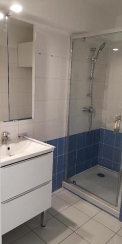 Appartement T1B NANTES Le Port Boyer - 28 m2  664 Euros