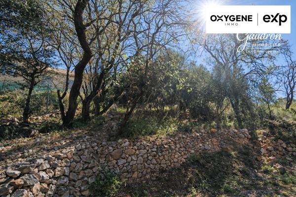 Grange / Bâtiment de 40 m² sur terrain de 487 m² – Vue montagnes