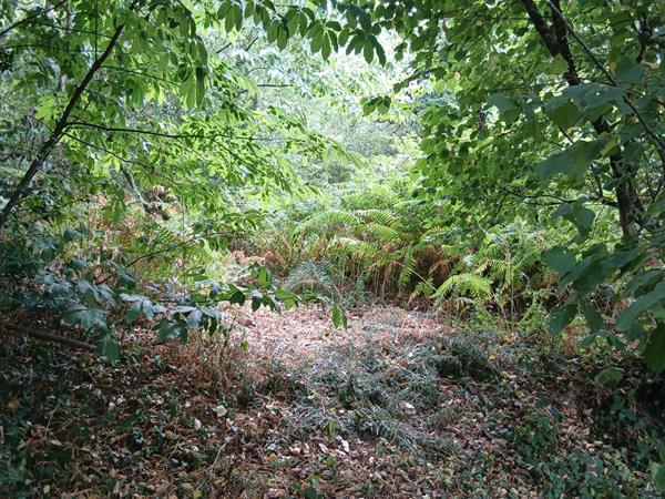 Propriété de loisirs Bouille Ménard