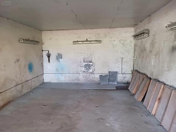 Achat - Fonds et/ou murs commerciaux | Fonds et/ou murs commerciaux Vendeuvre-sur-Barse 10140 365 m 2 18730 m 2