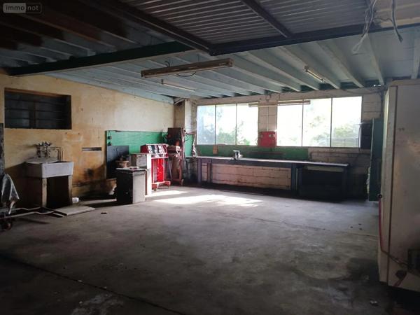Achat - Fonds et/ou murs commerciaux | Fonds et/ou murs commerciaux Vendeuvre-sur-Barse 10140 365 m 2 18730 m 2