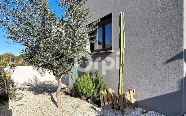 Maison à vendre    5 pièces •  Sorède