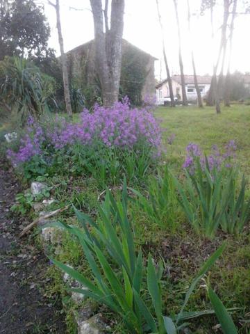 Propriété d'agrément à vendre à Saint-Just-Luzac en Charente-Maritime (17320), ref : 02042