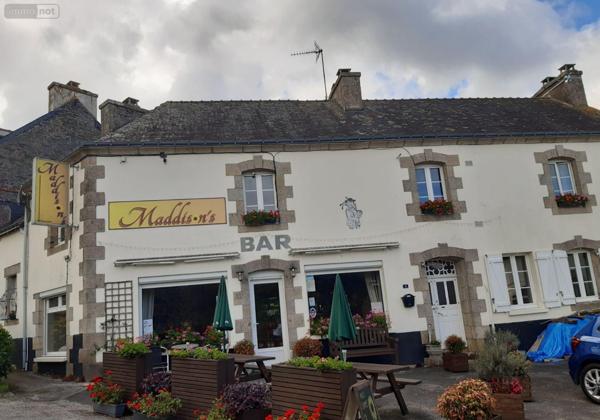 Local mixte (Professionnel/Habitation) à vendre à Sainte-Brigitte dans le Morbihan (56480), ref : 063-435