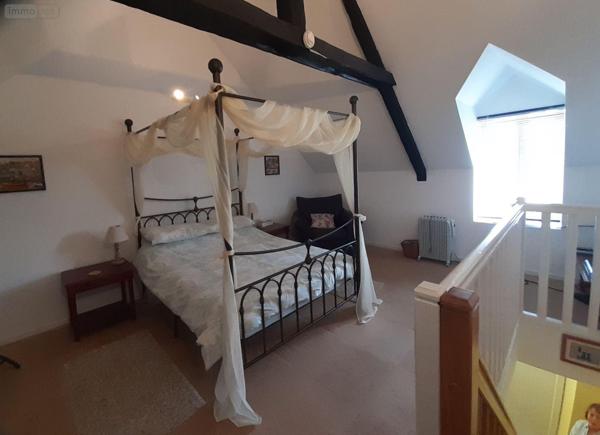 Local mixte (Professionnel/Habitation) à vendre à Sainte-Brigitte dans le Morbihan (56480), ref : 063-435