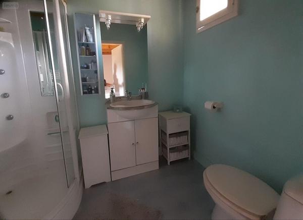 Local mixte (Professionnel/Habitation) à vendre à Sainte-Brigitte dans le Morbihan (56480), ref : 063-435