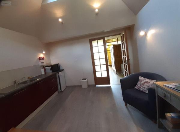 Local mixte (Professionnel/Habitation) à vendre à Sainte-Brigitte dans le Morbihan (56480), ref : 063-435