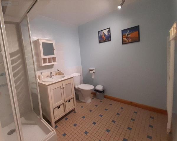 Local mixte (Professionnel/Habitation) à vendre à Sainte-Brigitte dans le Morbihan (56480), ref : 063-435