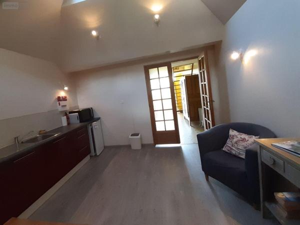 Local mixte (Professionnel/Habitation) à vendre à Sainte-Brigitte dans le Morbihan (56480), ref : 063-435