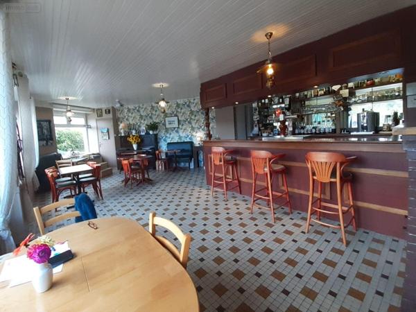 Local mixte (Professionnel/Habitation) à vendre à Sainte-Brigitte dans le Morbihan (56480), ref : 063-435