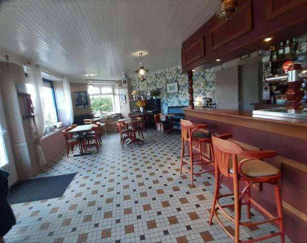 Local mixte (Professionnel/Habitation) à vendre à Sainte-Brigitte dans le Morbihan (56480), ref : 063-435