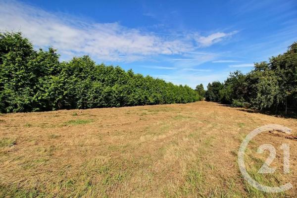 Terrain à vendre  1400 m 2   ST LAURENT NOUAN  - 41