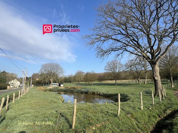 Maison Chateaubriant 6 pièce(s) 138 m2, 3 Chambres, 3809m² de terrain