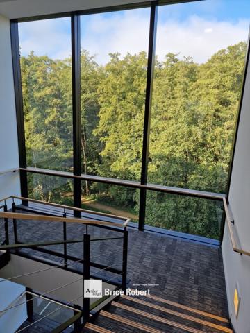 Bureaux à louer à Limonest immeuble indépendant avec terrasses et parkings