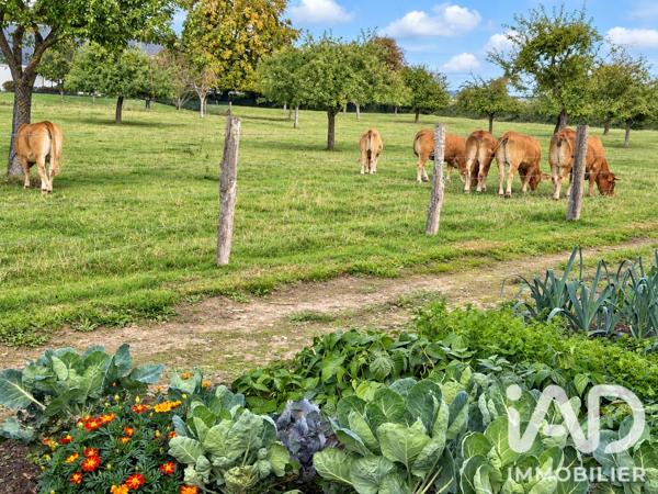 Terrain à vendre 914 m² Ernemont-sur-Buchy