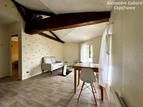 LANGON CENTRE VILLE - Immeuble en pierres 450 m² comprenant 6 appartements et 2 locaux commerciaux