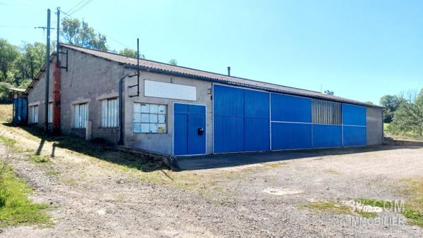 ENTREPOT 433M² SUR 1771M² DE TERRAIN  Moyen (54118)