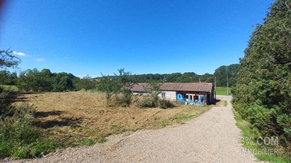 ENTREPOT 433M² SUR 1771M² DE TERRAIN  Moyen (54118)