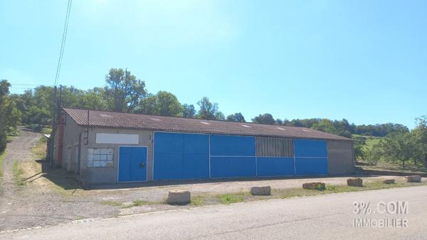 ENTREPOT 433M² SUR 1771M² DE TERRAIN  Moyen (54118)