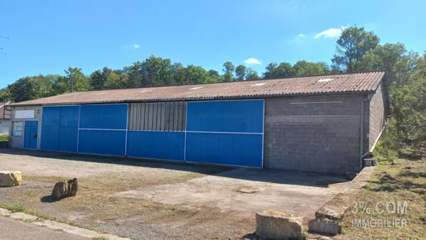 ENTREPOT 433M² SUR 1771M² DE TERRAIN  Moyen (54118)
