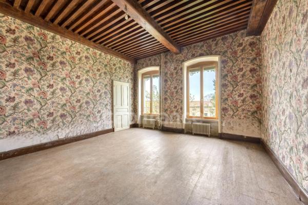 Maison à vendre 17 pièces PANISSIERES (42)