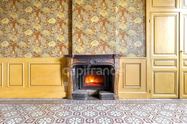 Maison à vendre 17 pièces PANISSIERES (42)