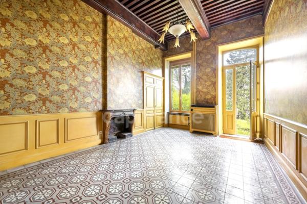 Maison à vendre 17 pièces PANISSIERES (42)