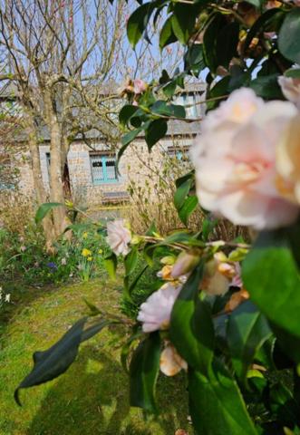 Vente Maison70 m² - 4 Pièces - LECOUSSE (35133)