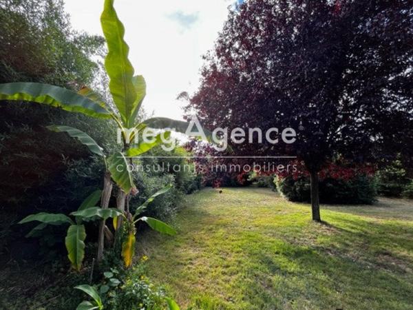 Terrain à ANGERS, 49000 - 1225m²