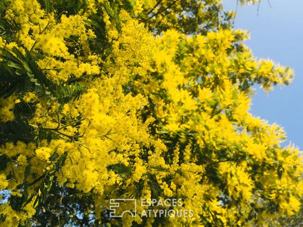 Coquette maison de ville